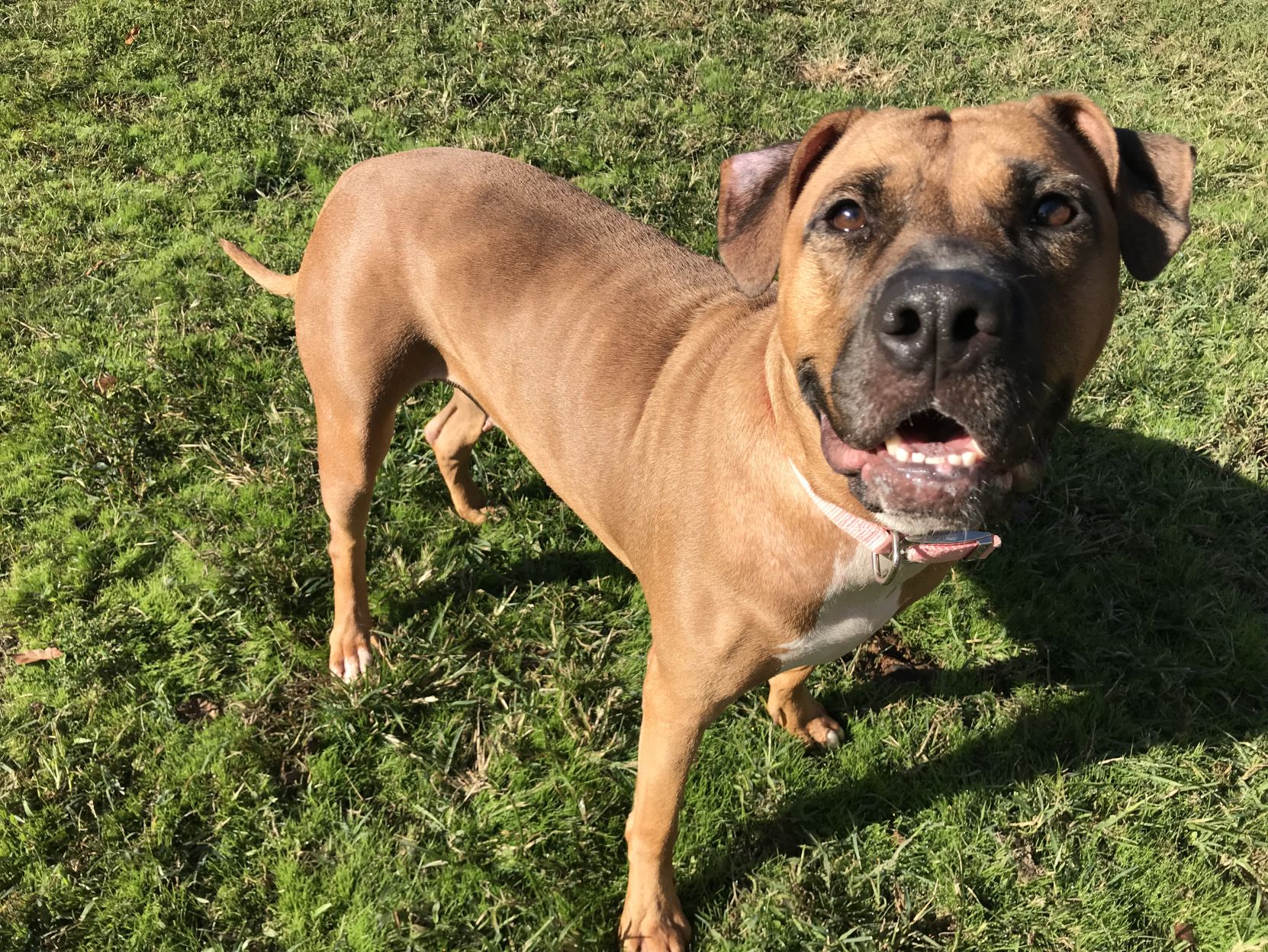 nellie.jfif